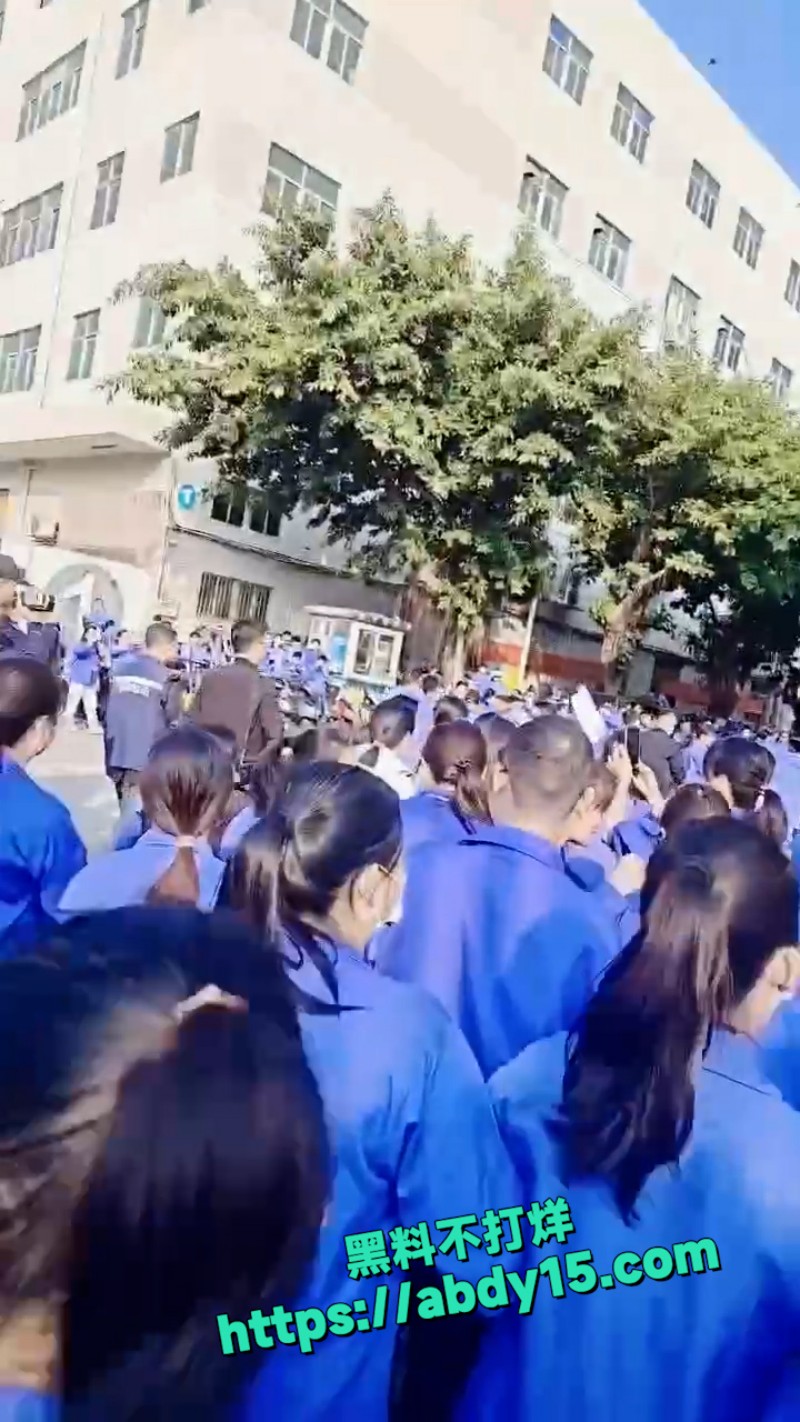 深圳易力声科技有限公司罢工事件 3
