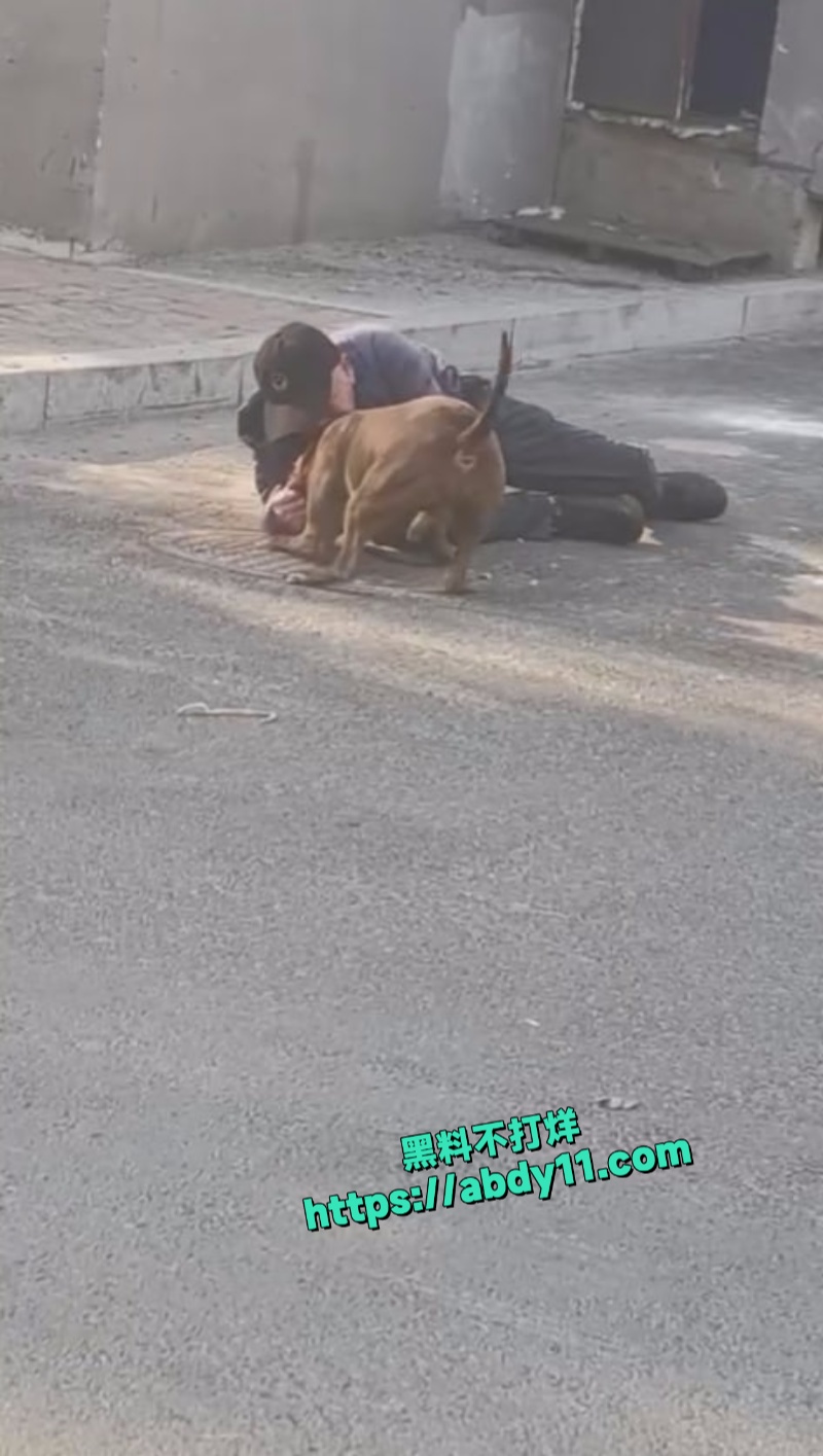 大爷被街头恶狗拼命撕咬不松口 2