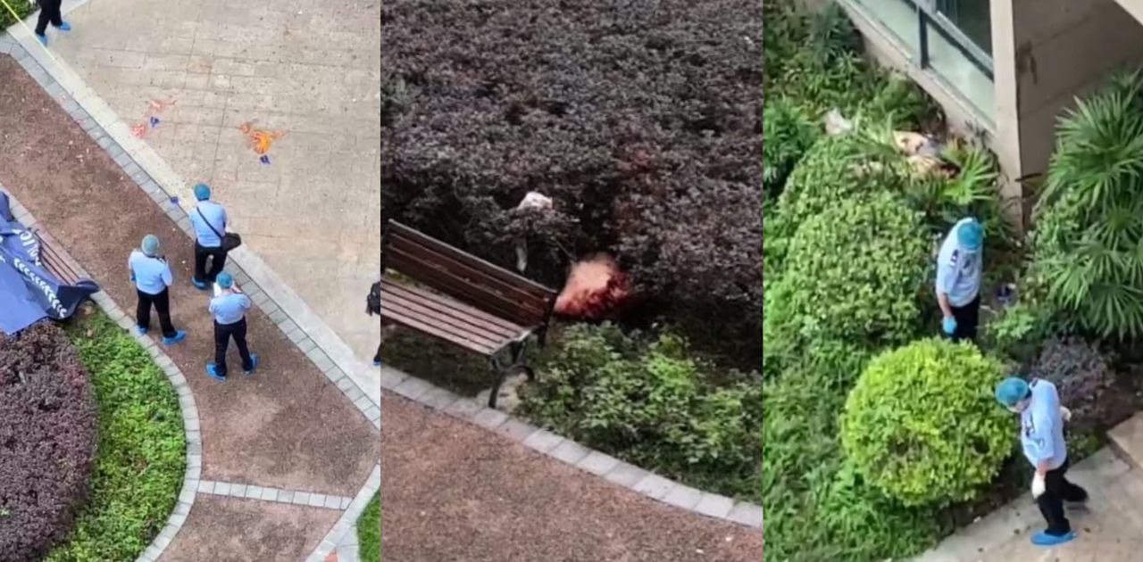 重庆渝北区悦来街道刑事案件 男子杀妻后跳楼摔的人首分离 小区房价要崩了啊