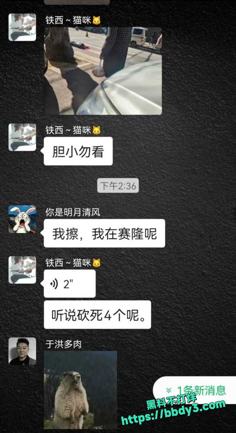 砍人惨案 4