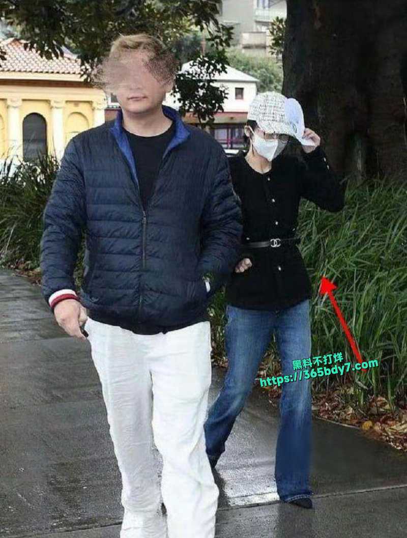 杨兰兰澳洲劳斯莱斯酒驾6