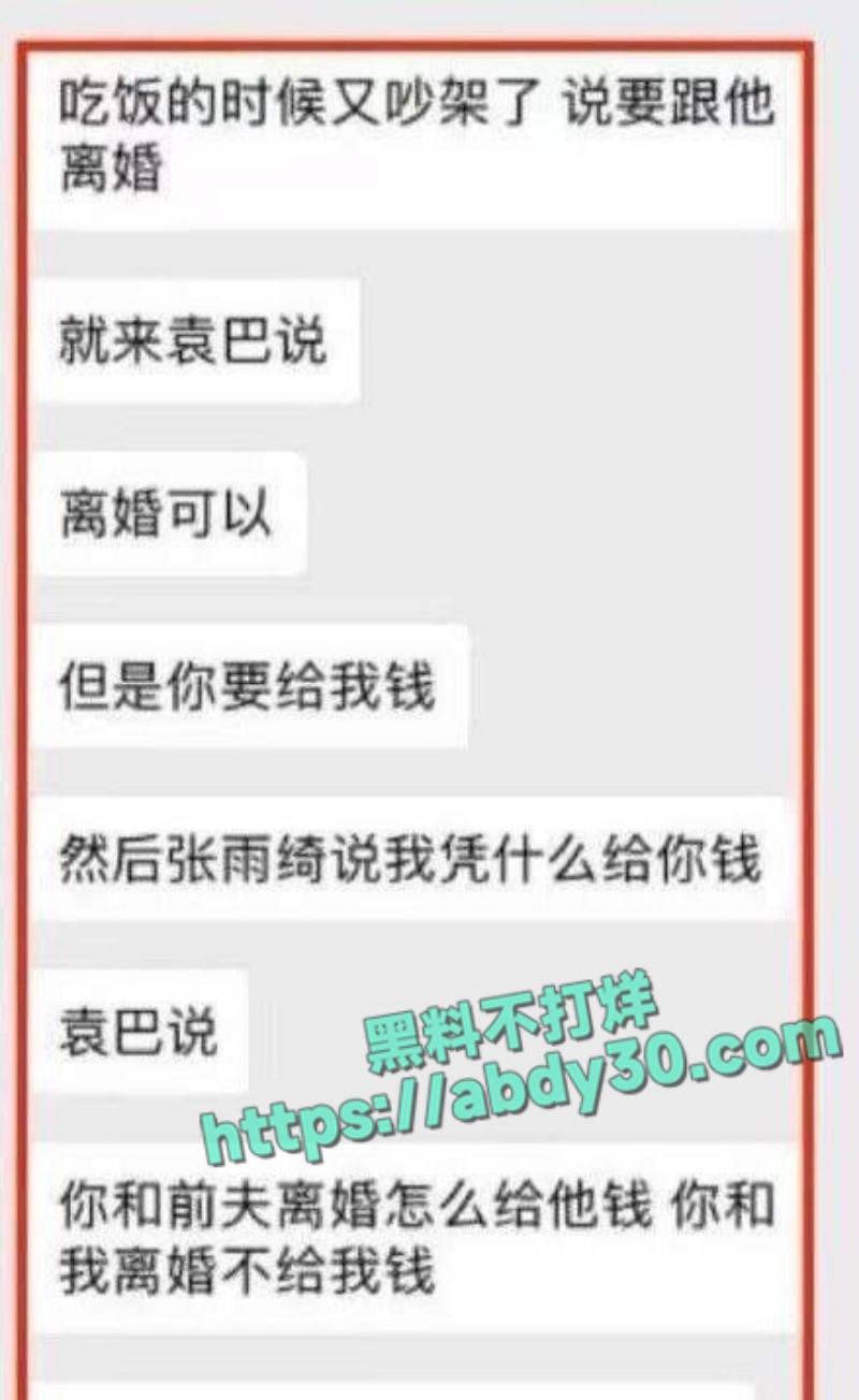 张雨绮前夫 袁巴元 12
