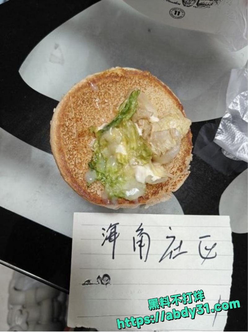 长腿女儿丽丽第一集4