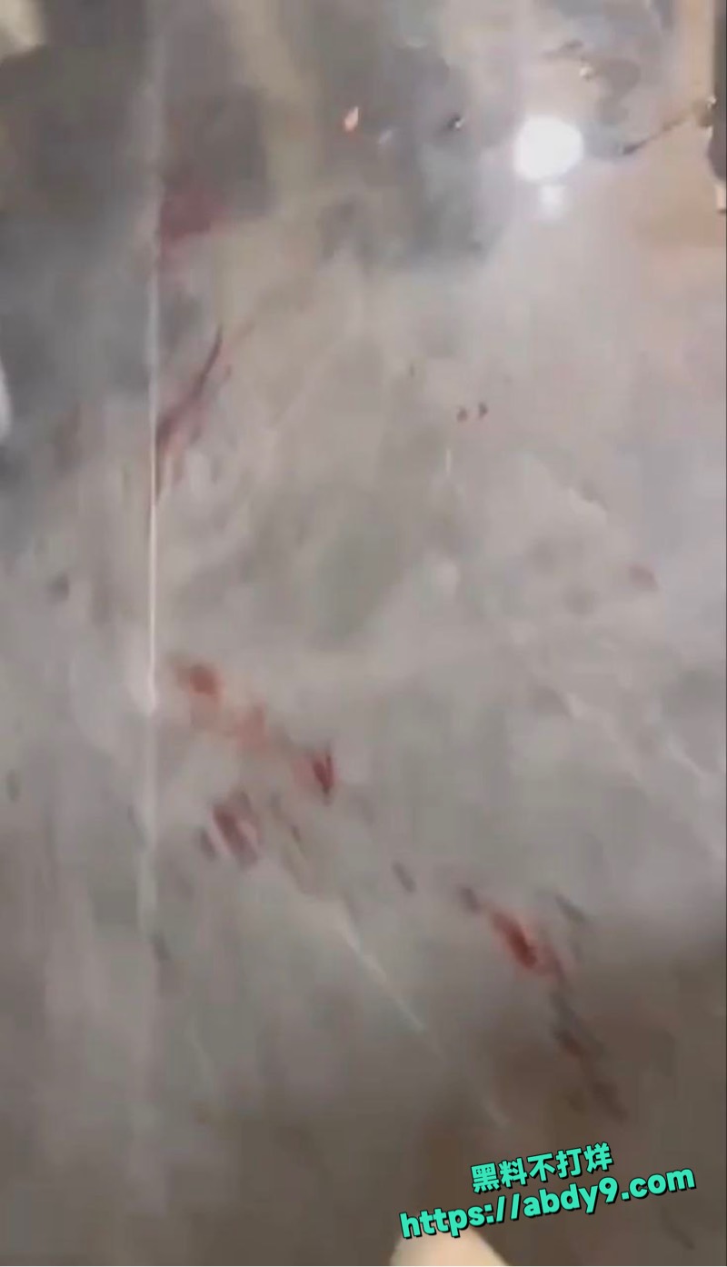 吉林长春万达公寓聚众杀人1