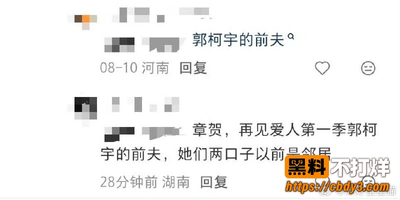 歌手朴树出轨演员王子文44