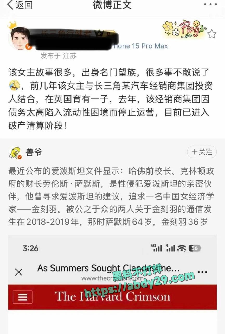 哈佛博士金刻羽与浙商余海军婚外情 36