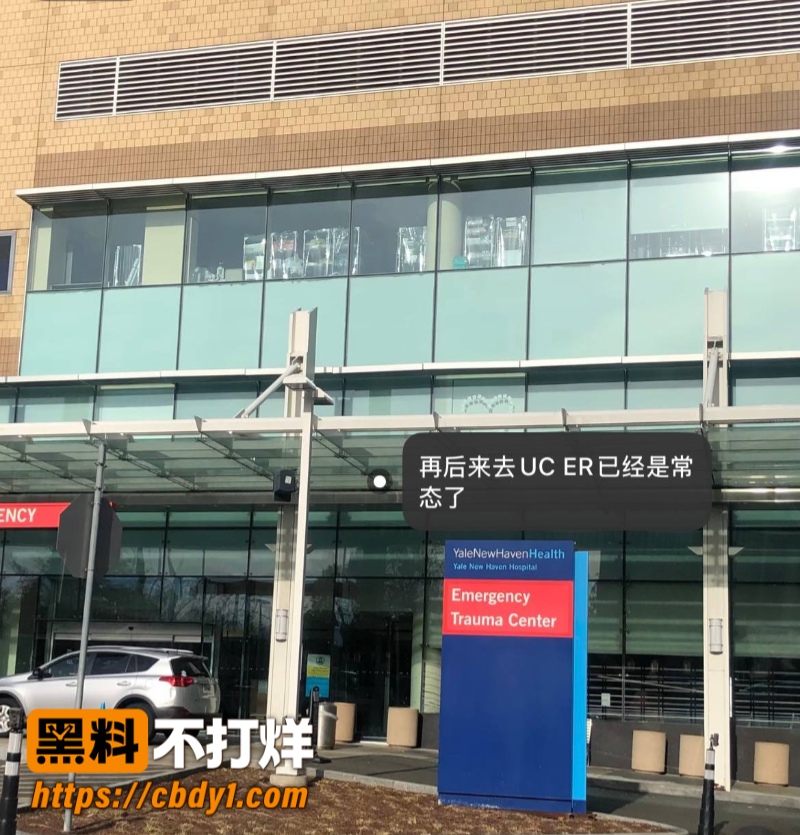 王龙19