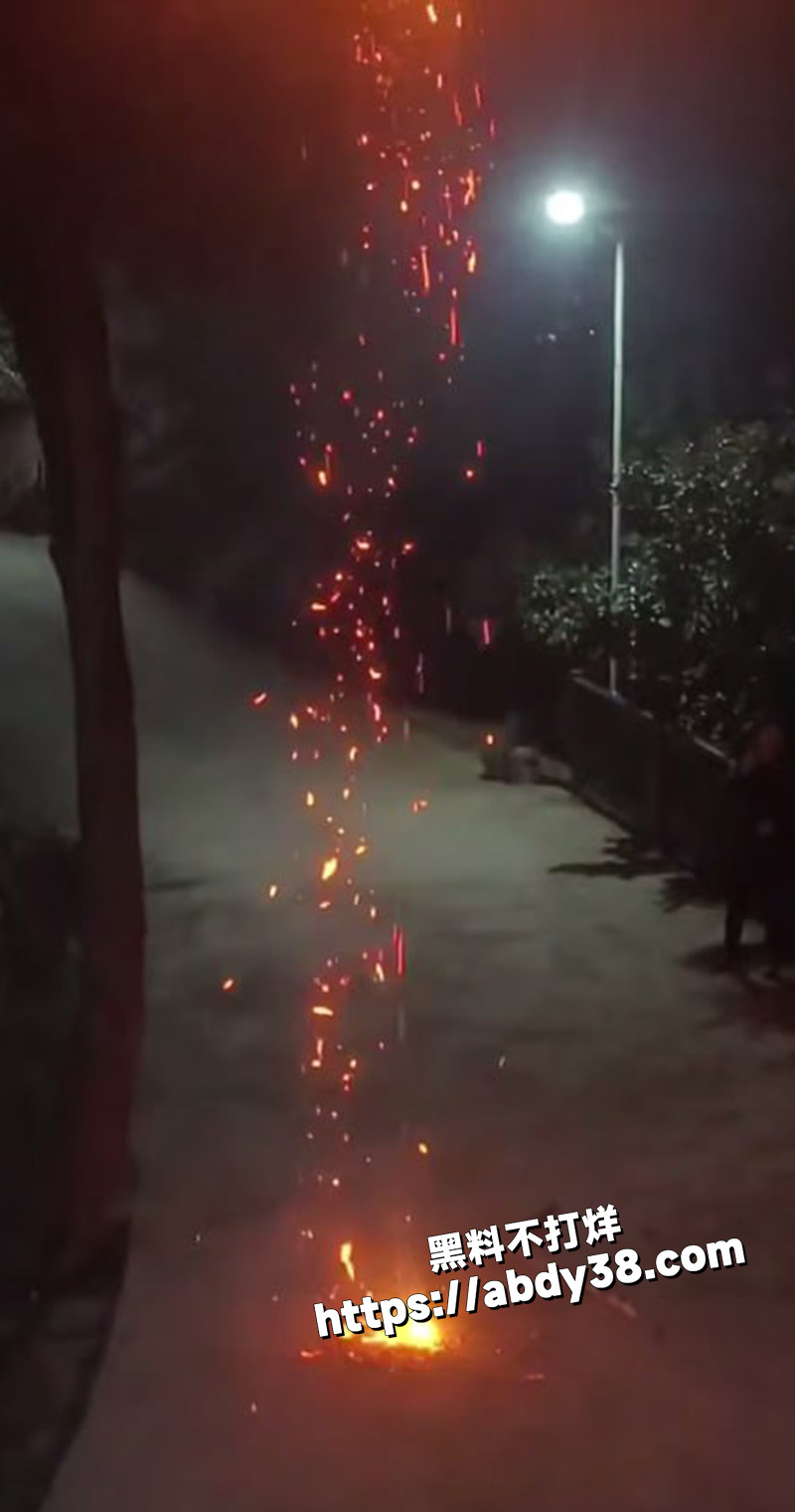 重庆小伙放烟花 点着大树.jpg2