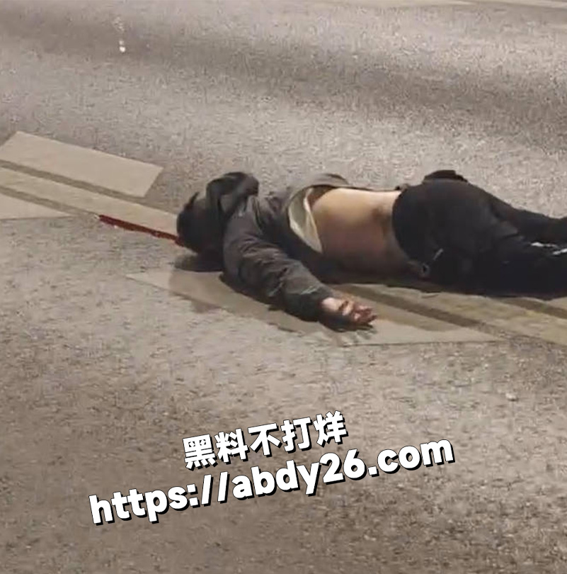 深夜马路惊现骑士精神5