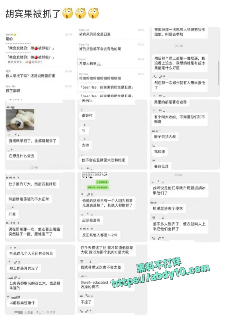 抖音网红胡宾果聚众淫乱被抓 13