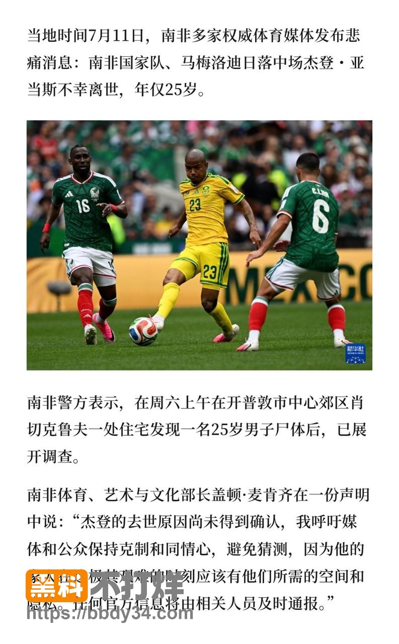 亚当斯13