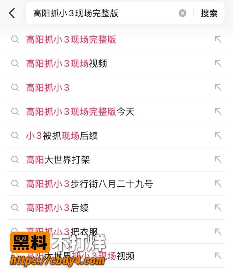 保定高阳大世界 9