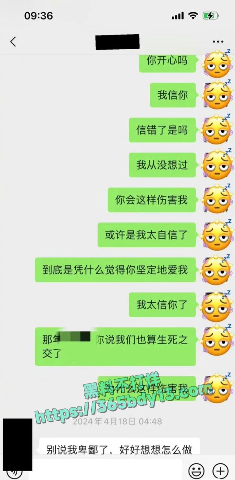 女网友与魏大勋聊天记录5