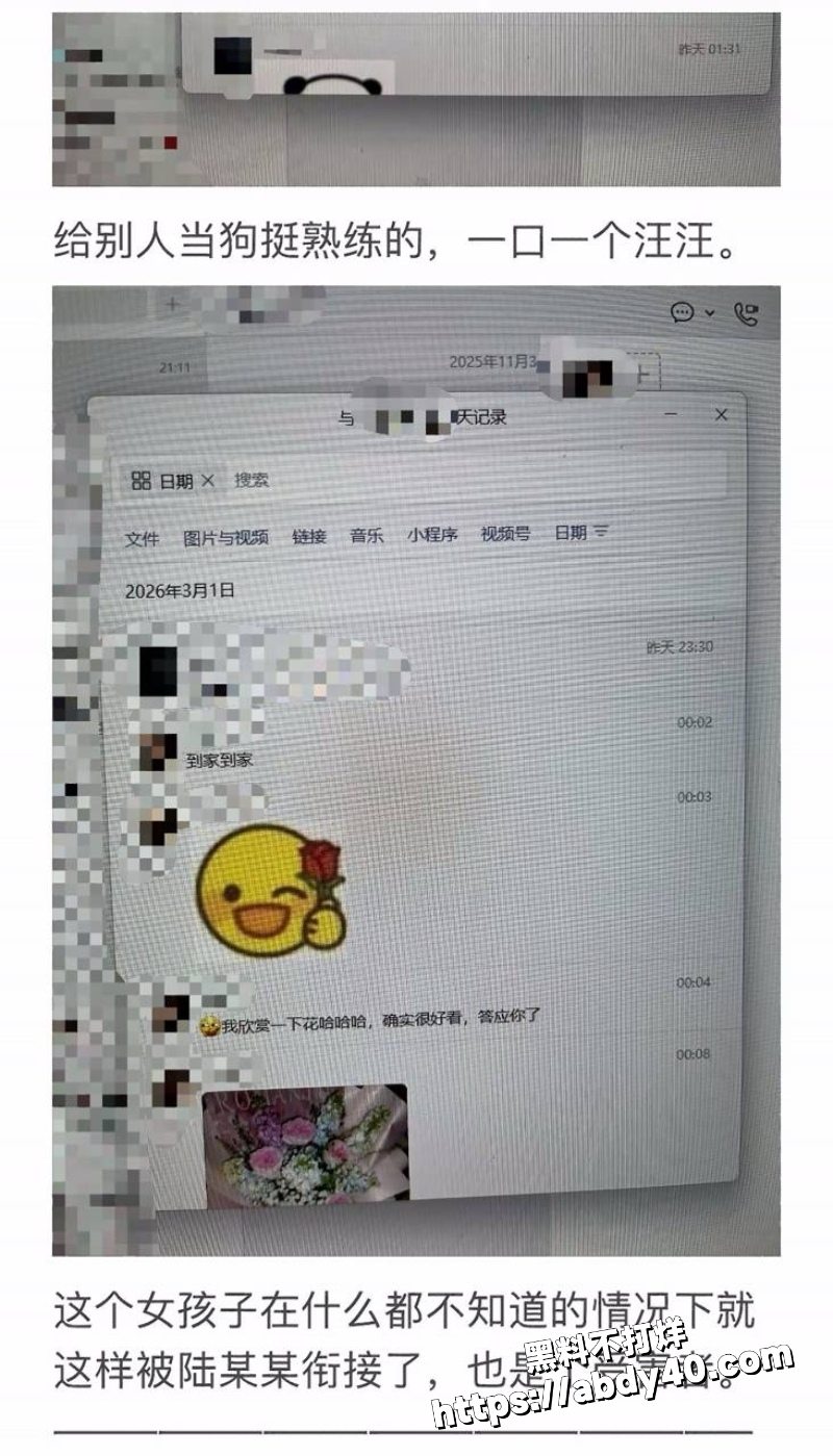南宁摄影师陆某某无缝衔接渣男 17