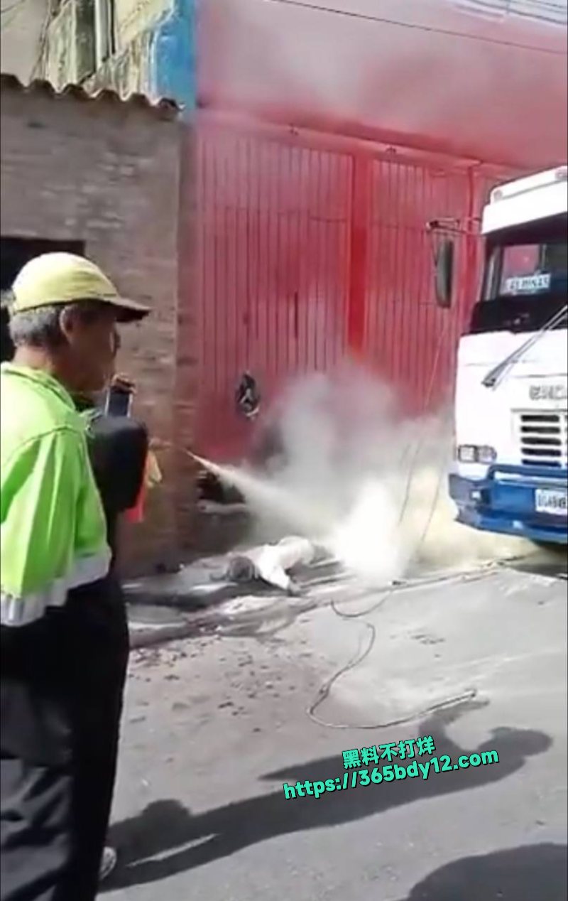 巴拿马一母亲带着儿子下车时碰到了掉落在地面的电线触电1