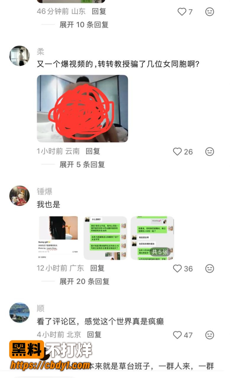 王龙31