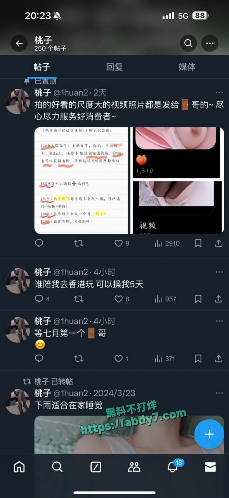 河南信阳抖音小网红屁桃桃早年海外福利姬 4