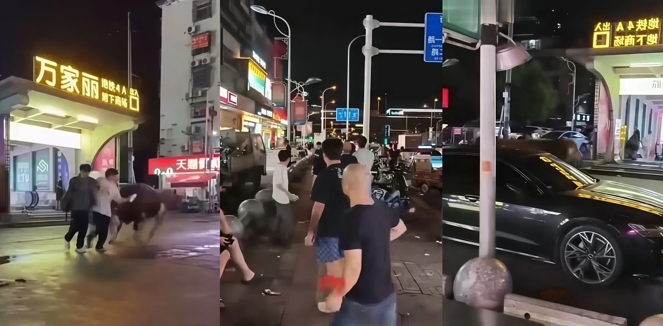 湖南长沙万家丽地铁口 黄牛失控街头狂奔 先撞飞两人又撞伤一人