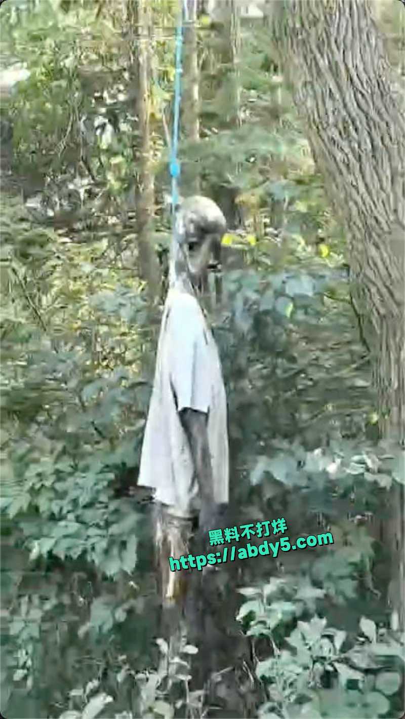 四明山上惊现干尸吊在树上 9