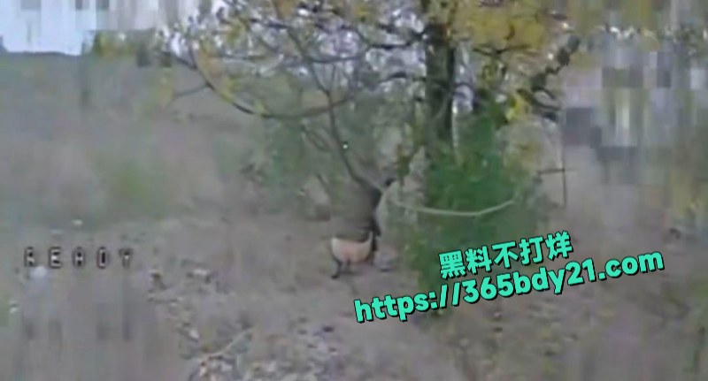 乌克兰第414旅无人机攻击画面最新流出 2