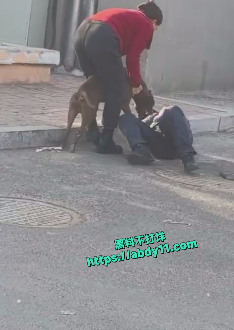 大爷被街头恶狗拼命撕咬不松口 4