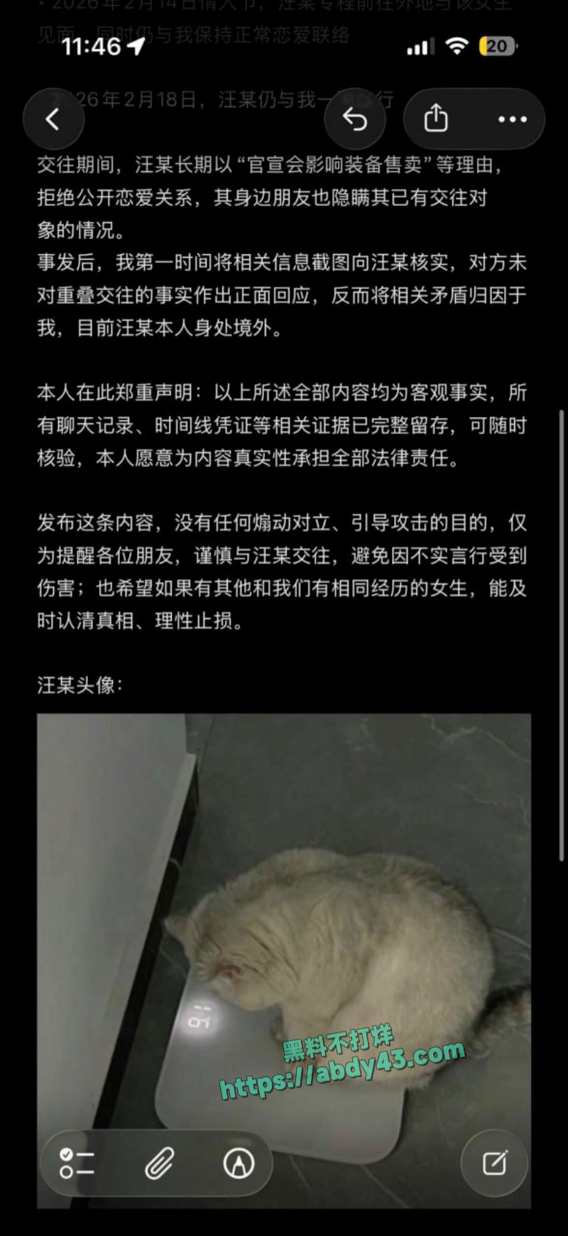 武汉W车队不吃猪肝 2