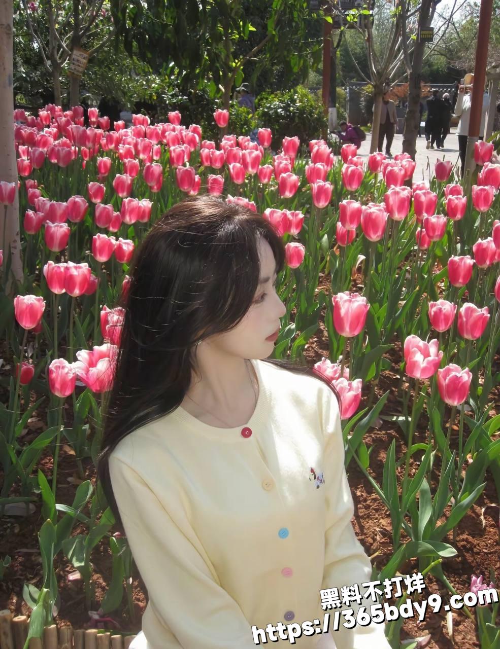 杨静隐私风波19