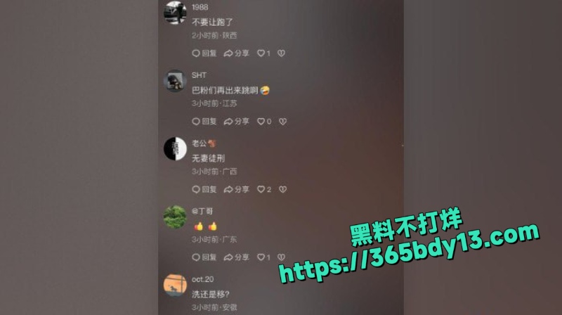知名电商主播辛巴7