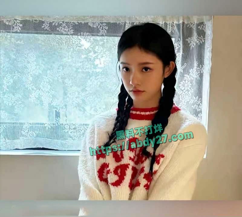 沈腾疑似出轨星女郎林允 24