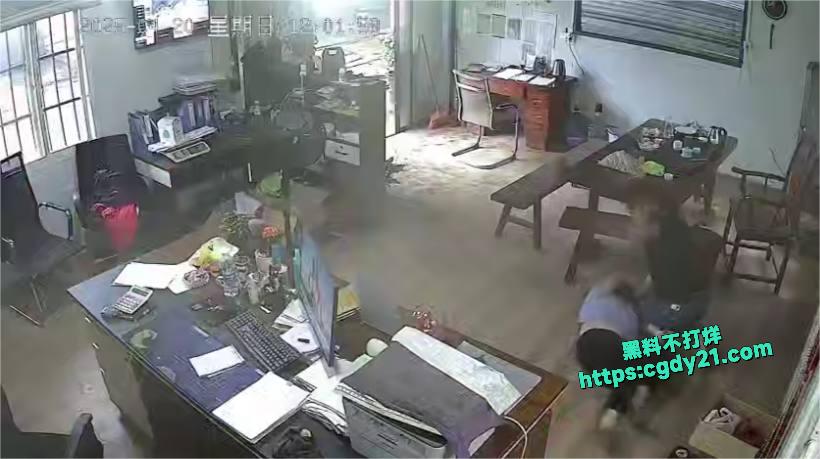 宏青钢铁老板家暴画面2