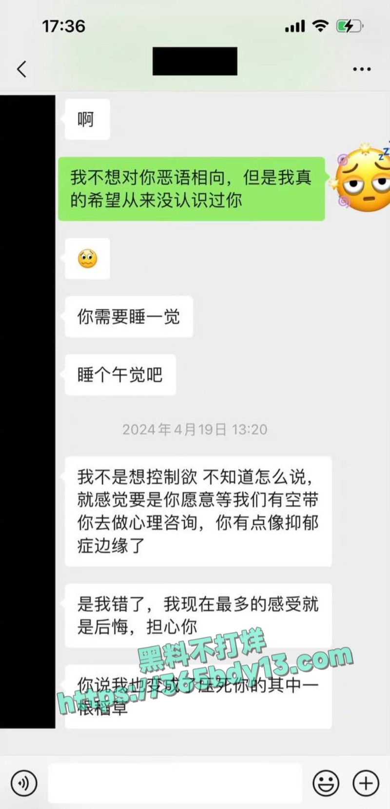 女网友与魏大勋聊天记录10