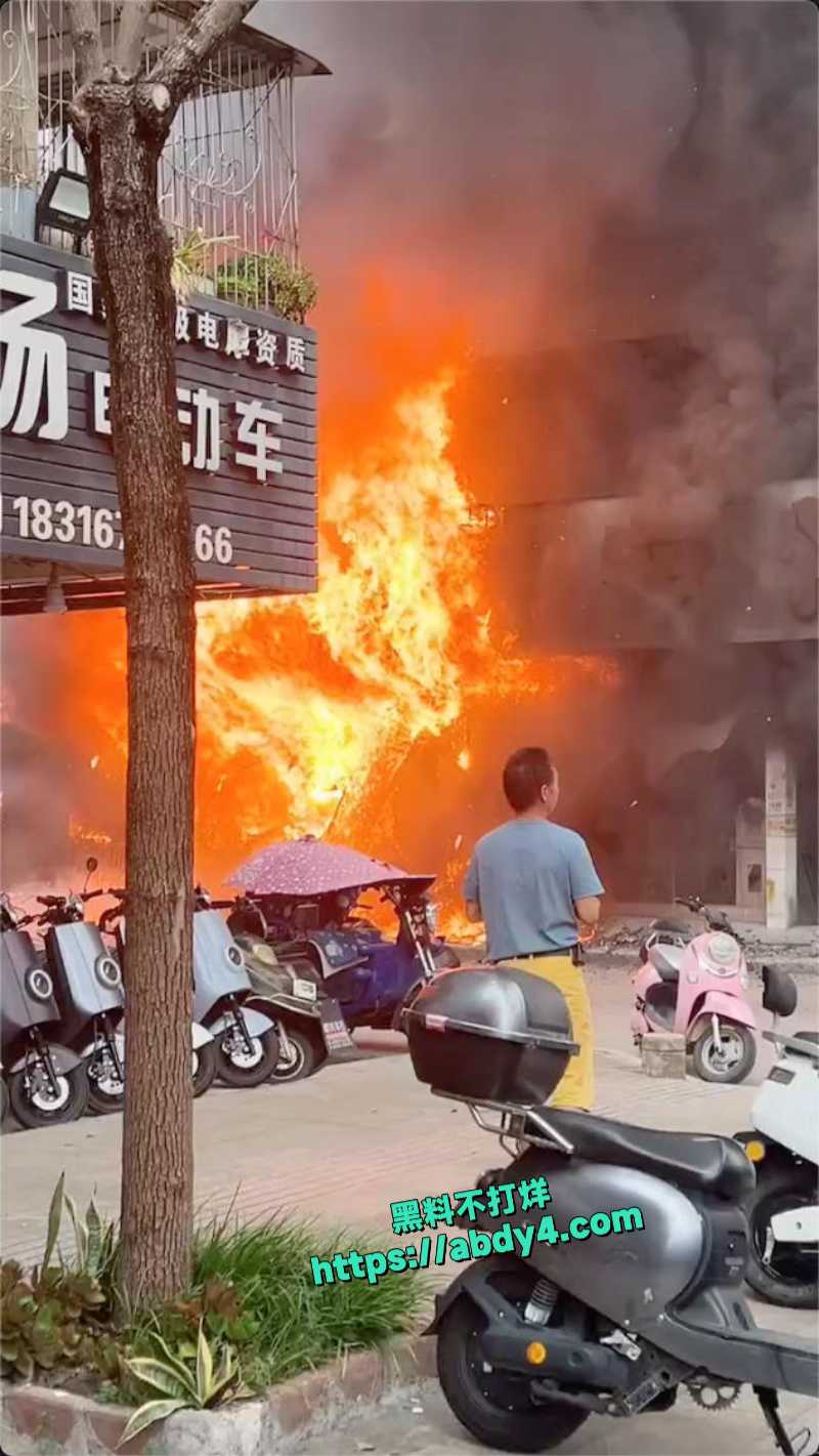 广东揭阳普宁流沙大道宠物店突发火灾 8