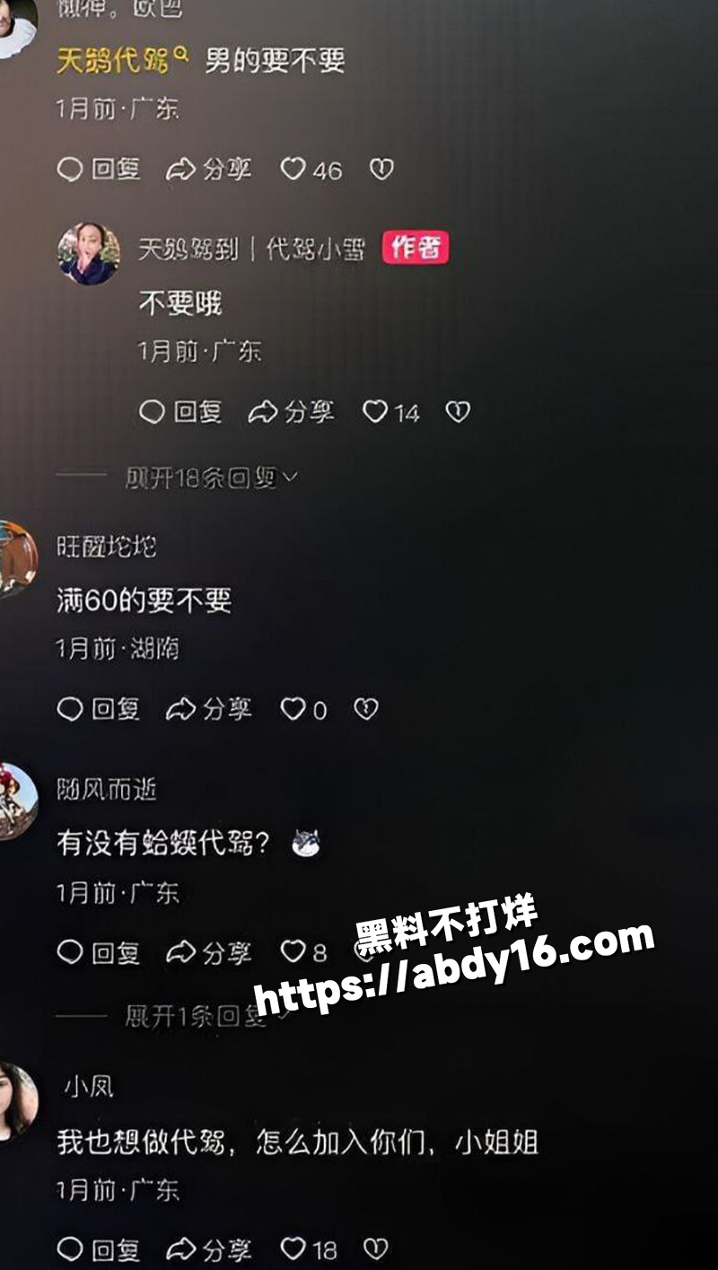天鹅代驾 代驾我只选天鹅驾到11