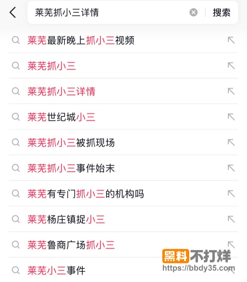 网友跪求的莱芜抓小三09