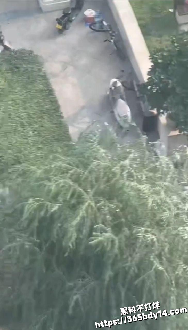 抓奸事件2