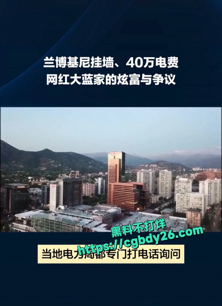 大蓝老婆网上炫富家里一年电费40多万被网友举报封号5