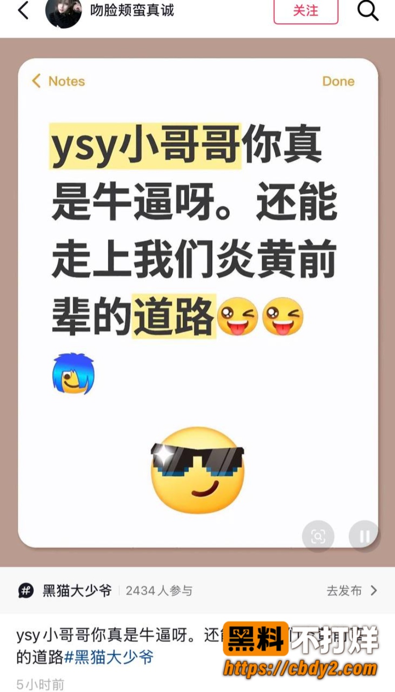 黑猫大少爷1