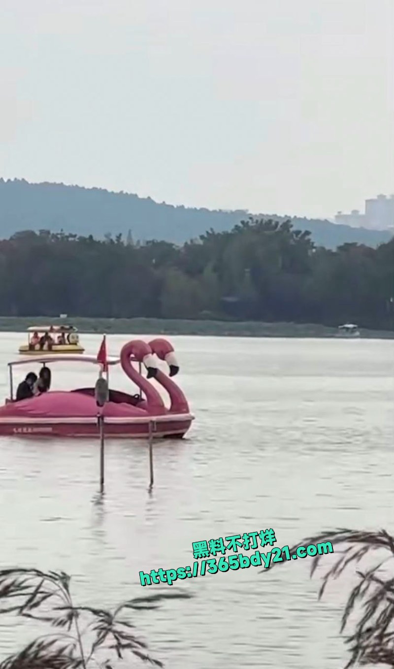 小情侣景区湖中游船上做爱被偷拍 6