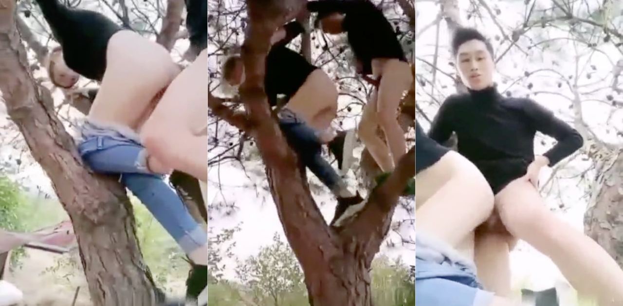 现在的走肾爱情都成精了吗？！一对情侣展现高技术树上操逼！