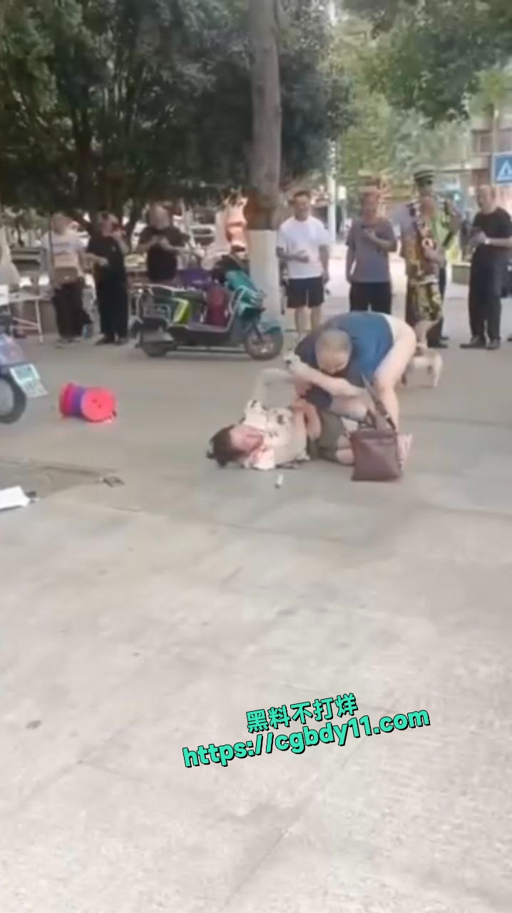 大爷当街强奸5