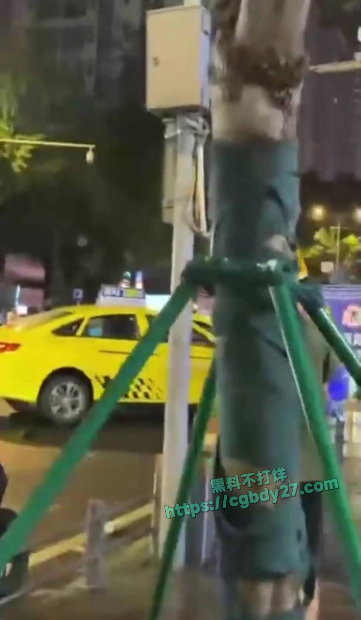 重庆出租车撞人事件 6