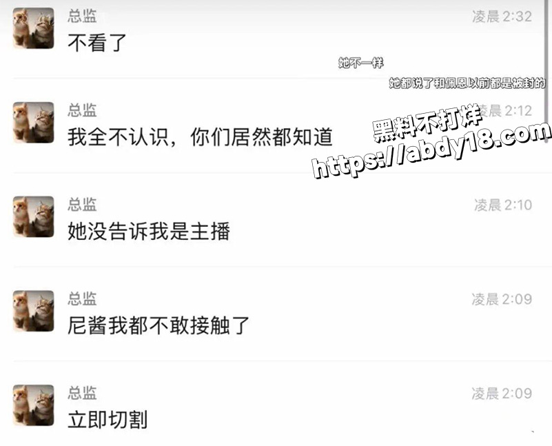 抽象果盘女佩恩自爆2
