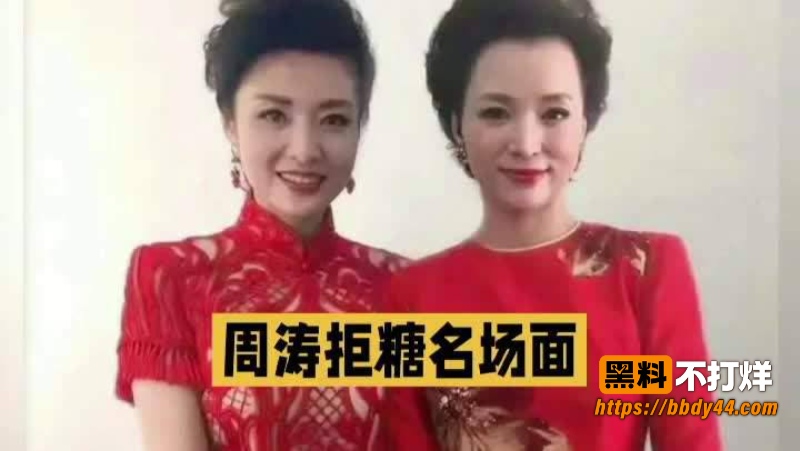 董卿周涛百合花开2