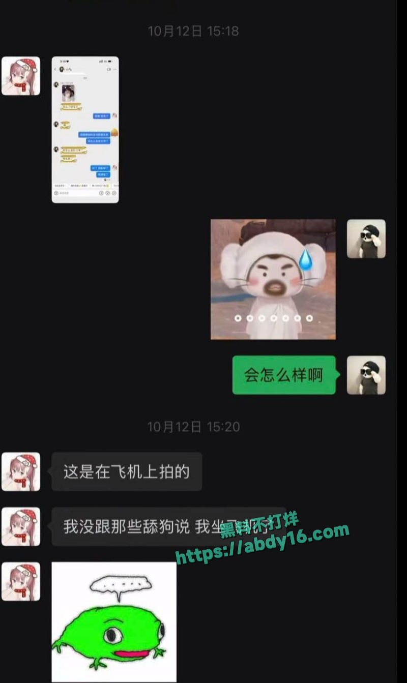小伶宝和绿毛龟撕逼 21