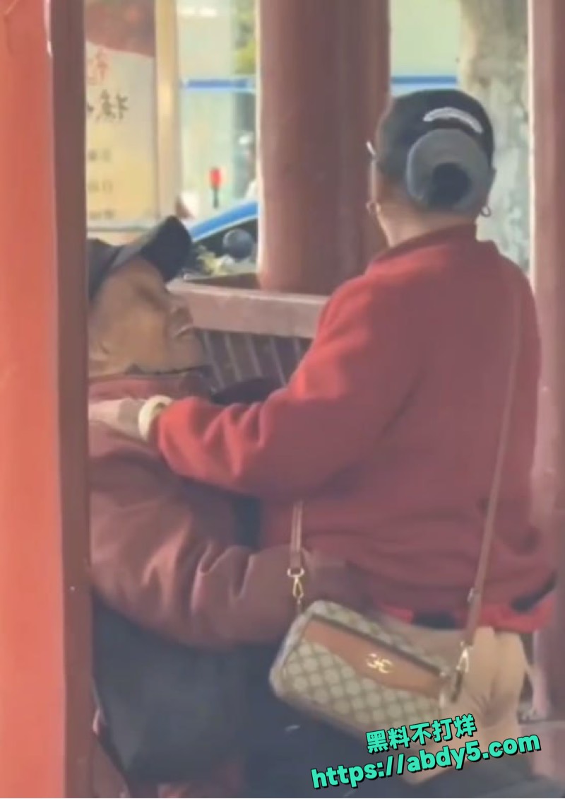 公园凉亭老登激情视频1
