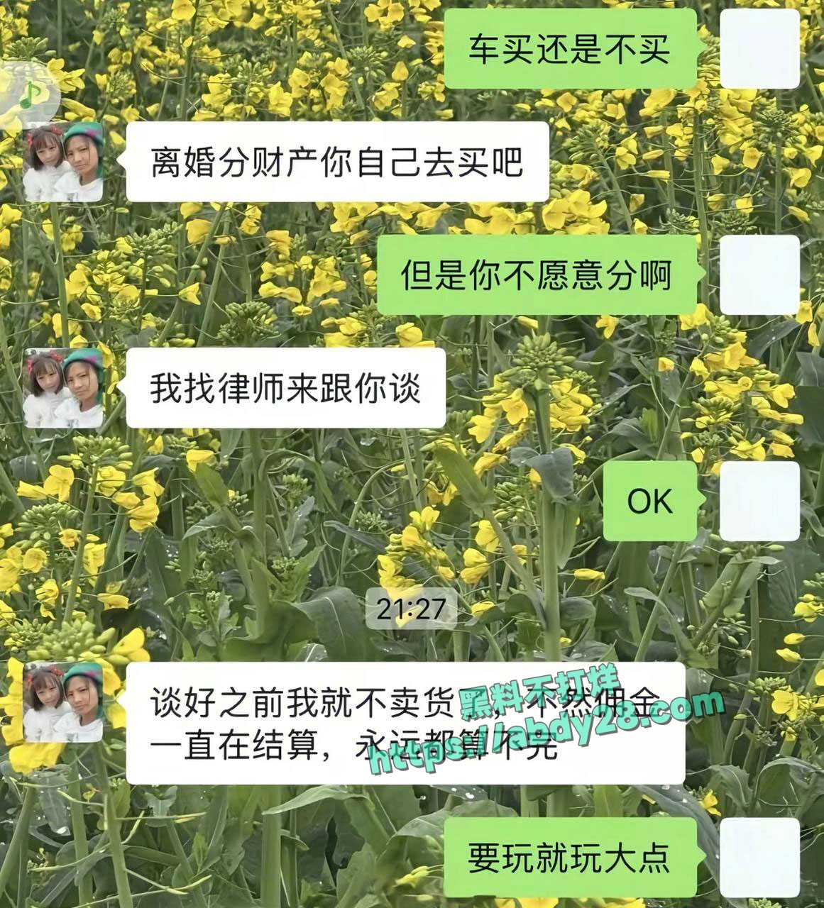 抖音网红小英曝老公上拉如出轨表妹 12