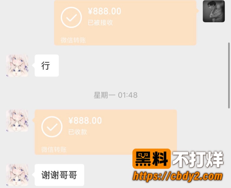 张冰3