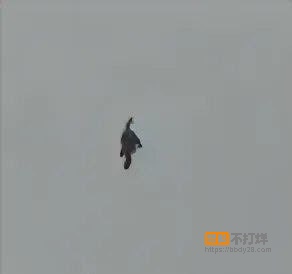 河北飞僵6