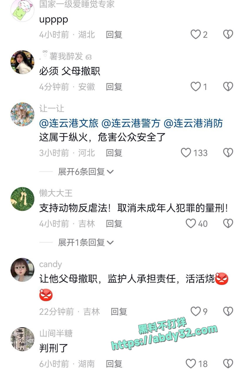 连云港两男孩烧死笼中萨摩耶  5