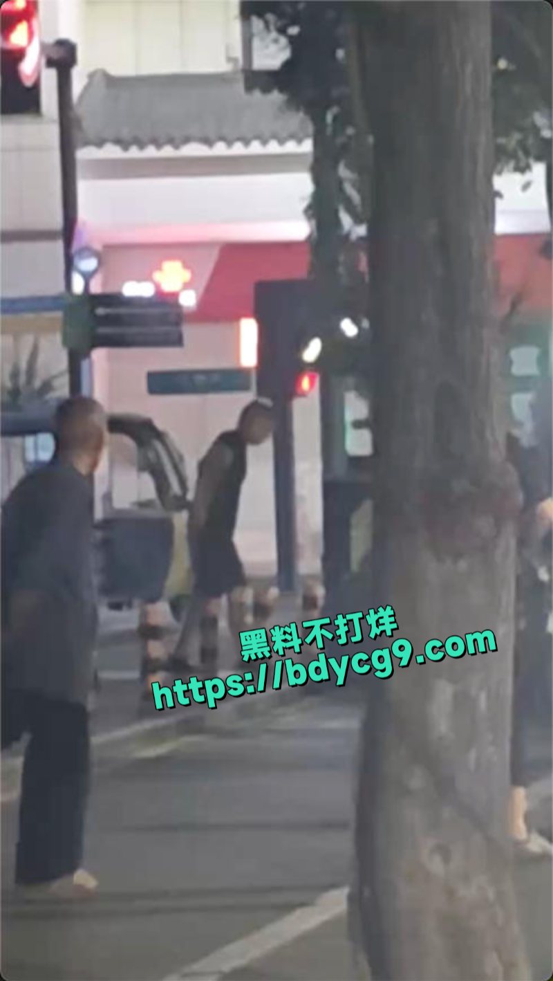 河南一男子持头盔当街暴打拾荒老人4